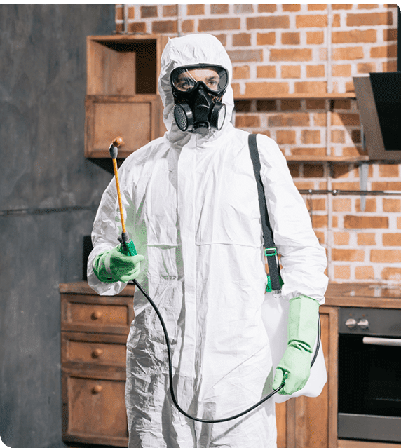 What to Expect from Our West End Dead Animal Removal Service