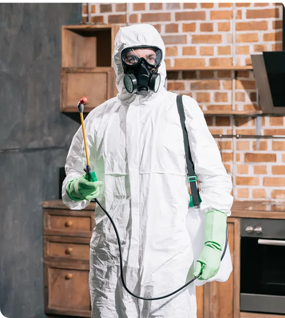 What to Expect from Our West End Dead Animal Removal Service