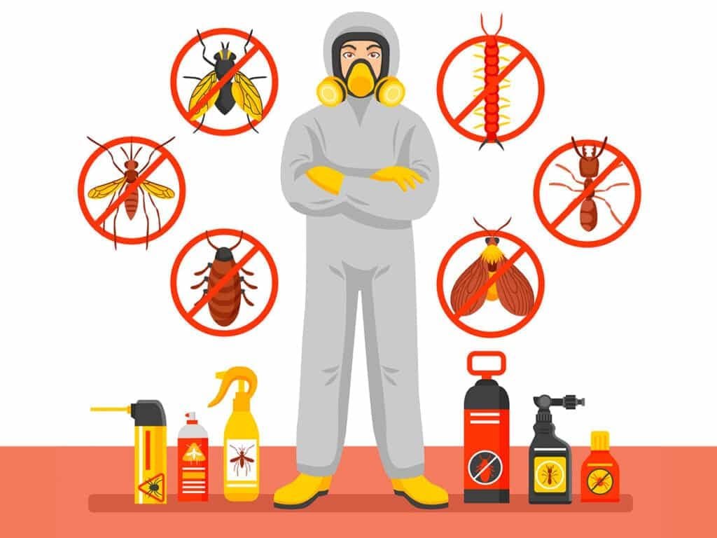 nsect Killer Spray Services