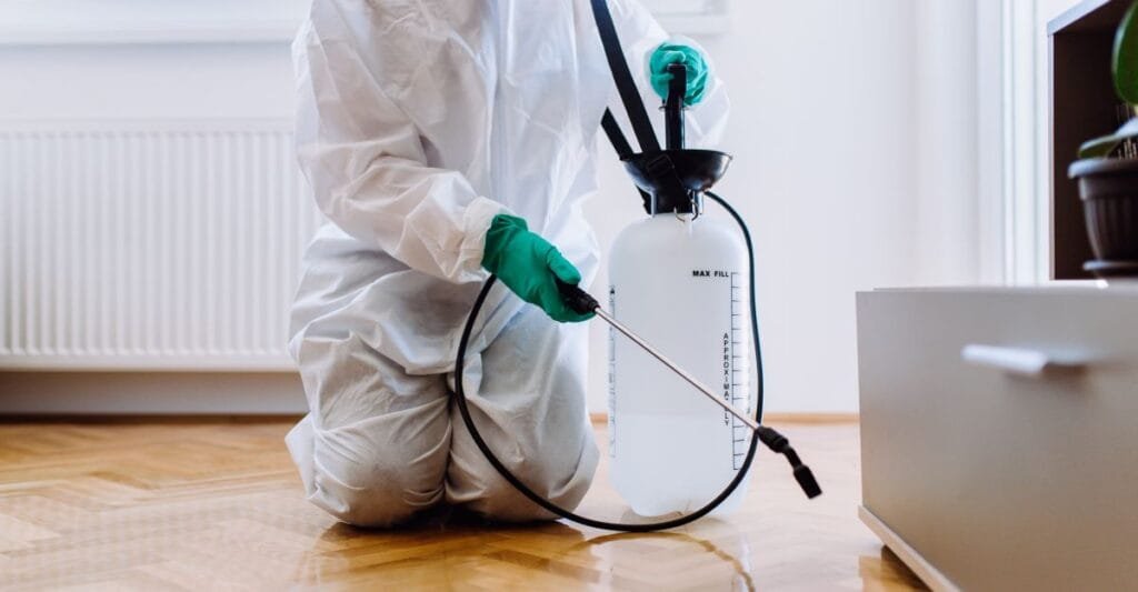 pest control services dallas tx 1