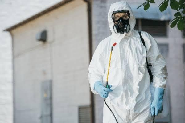 What to Expect from Our Same Day Pest Control Service