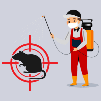 Professional Rodent Control vs. DIY or Ignoring the Problem