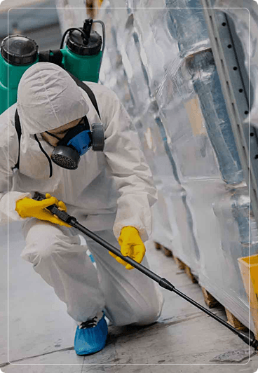 Our End of Lease Pest Fumigation & Flea Treatment Methods