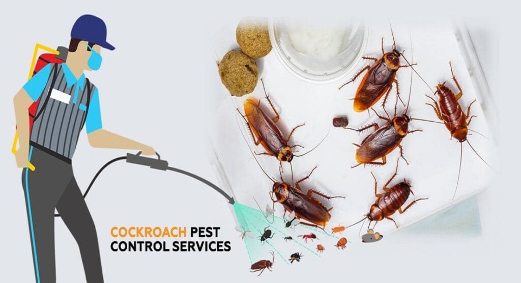 Coakroach Pest Control
