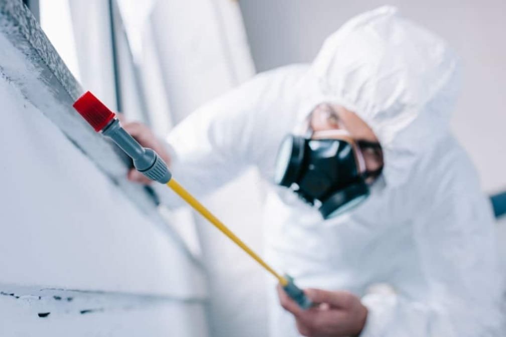What to Expect from Our End of Lease Pest Treatment