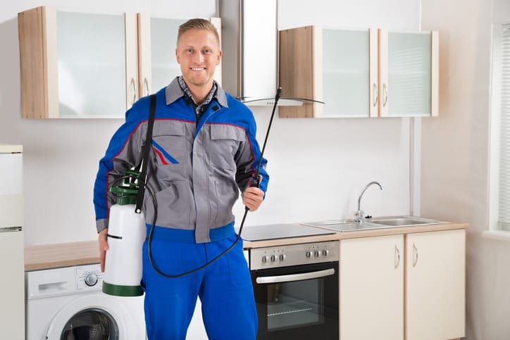 Why Choose Our Brunswick Same Day Pest Control Emergency Service?