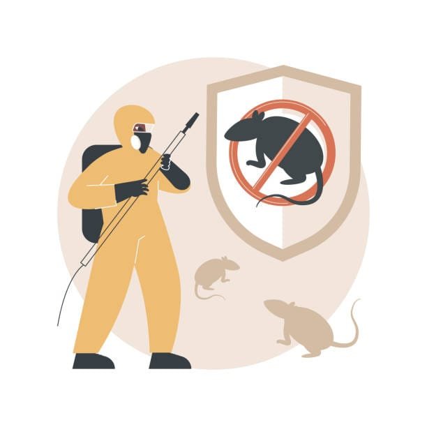 Professional Rodent Exterminators vs. DIY Attempts or Treatment Delay