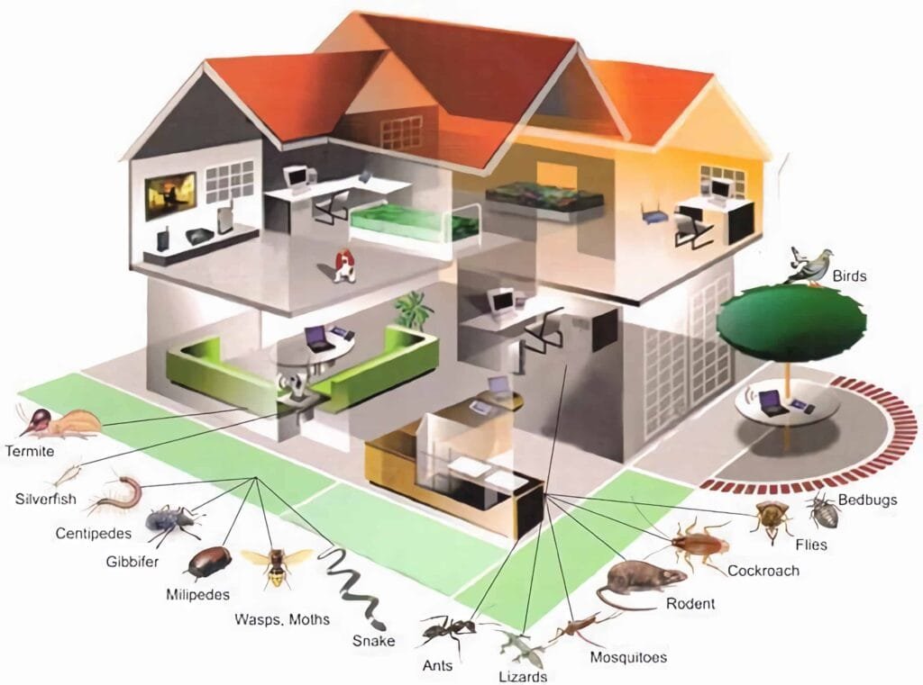 Same-Day Pest Control