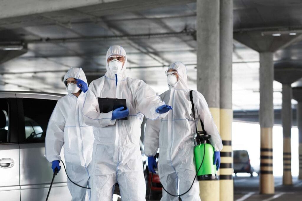 What to Expect from Our Commercial Pest Control in Rowville